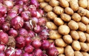 قیمت سیب‌زمینی و پیاز تثبیت شد؛ آمادگی کامل برای ذخیره‌سازی محصولات کشاورزی